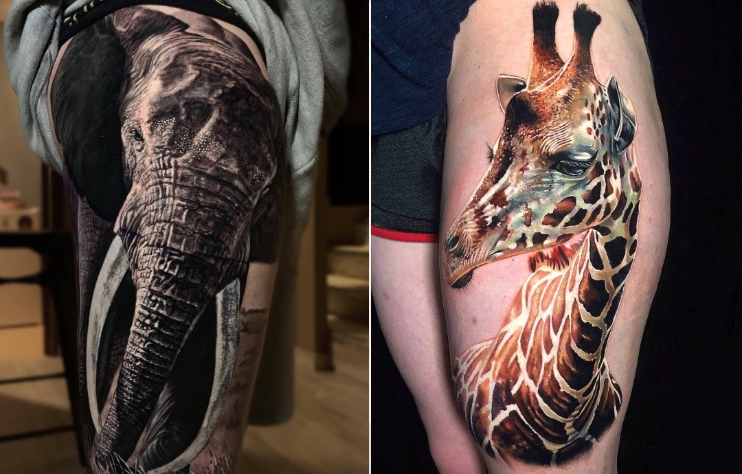 50 + Best Animal Tattoo Design Ideas